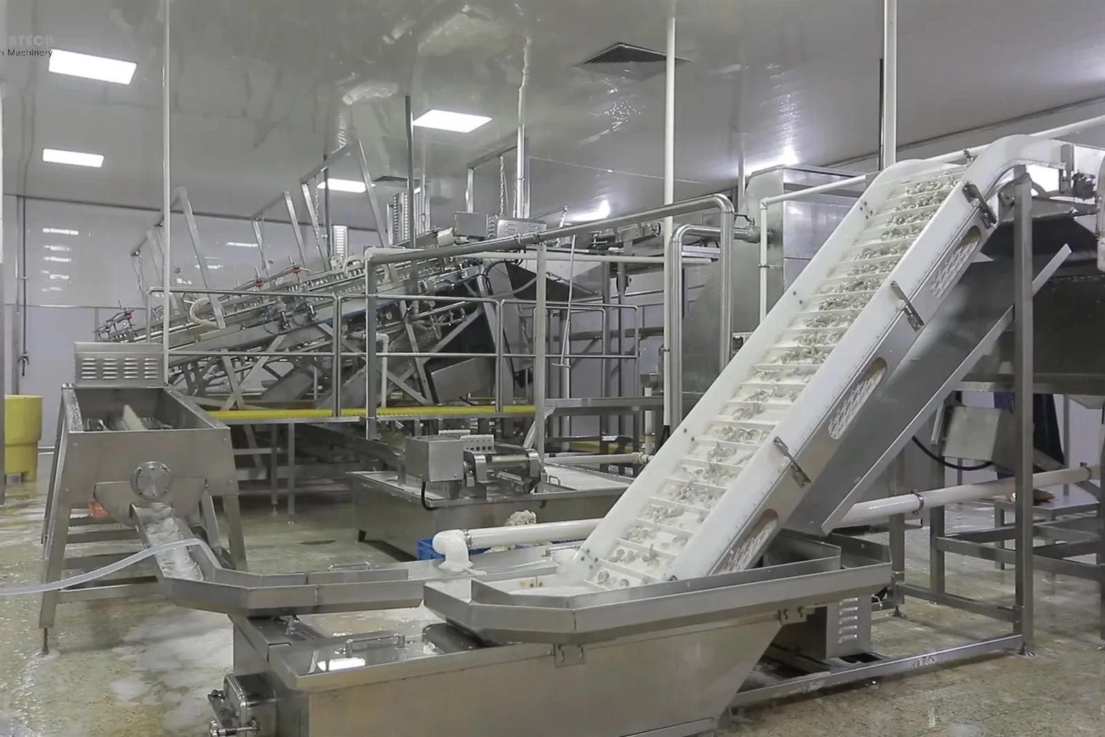 Shrimp Freezing Processing Line 1 Shrimp Freezing Processing Line 1
